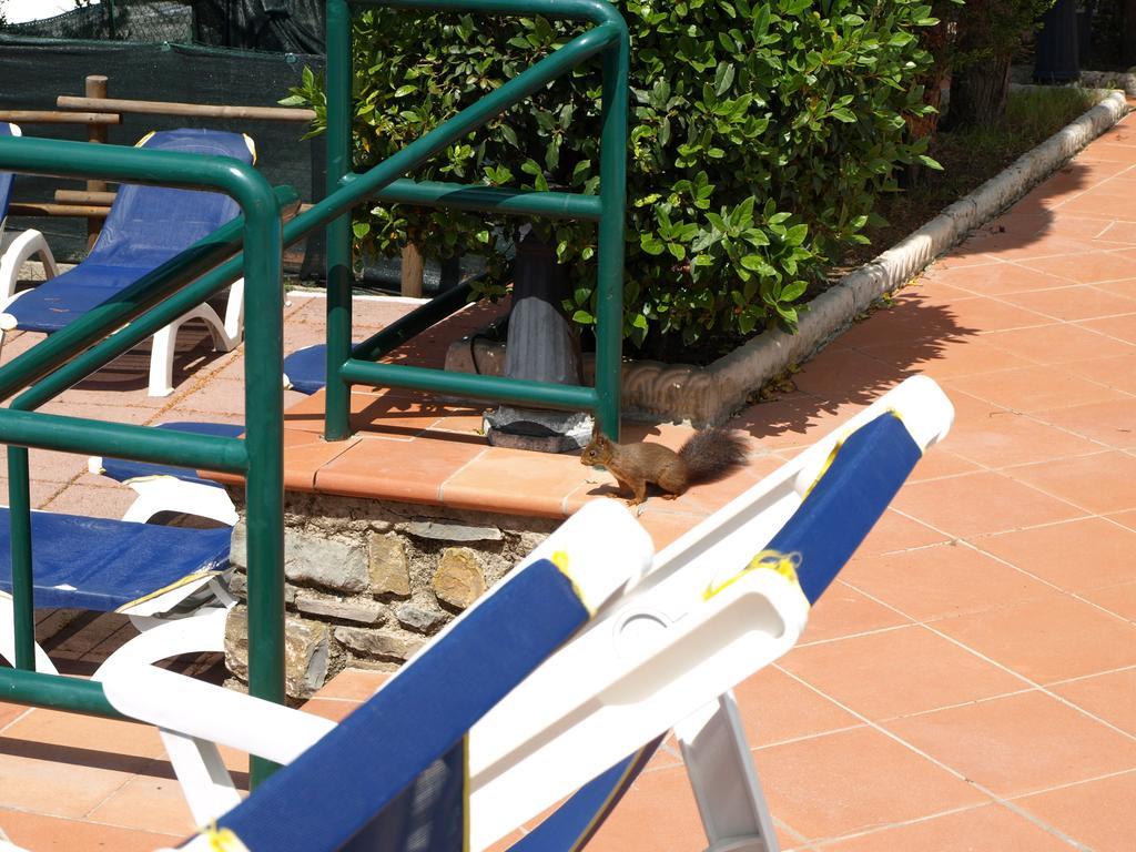 Camping Village Panoramico Φιέζολε Εξωτερικό φωτογραφία